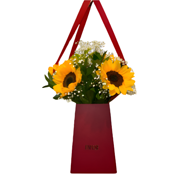 import placeholder for 3170